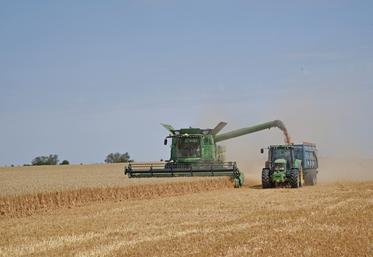 Une prime de moisson est attribuée aux salariés en CDI ayant participé aux travaux de moisson de l’exploitation.