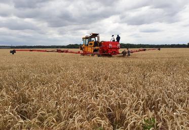 Le drône ou Sem'àlavolée77 sont deux outils innovants pour implanter ses couverts avant moisson et bénéficier d'avantages agronomiques et environnementaux.