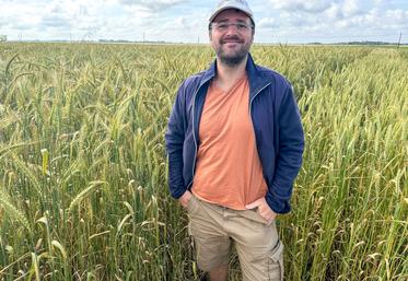 Le 1er juillet, à Broué. Adrien Pelletier a créé la Pop Orvilliers, la première semence de blé bio MHB inscrite en France.