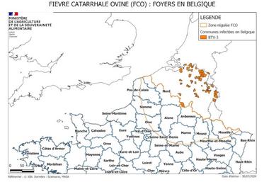 Fièvre catarrhale ovine : carte des foyers et des zones régulées au 31 juillet.