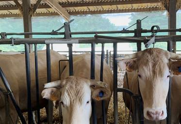 La chambre d'Agriculture de région Île-de-France organise des journées portes ouvertes dans des élevages innovants.