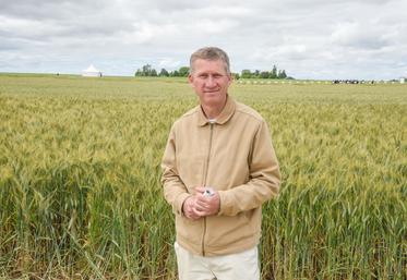 Pour le président de la région eurélienne d'Axéréal, Romain Gallas, la récolte est mauvaise voire très mauvaise.