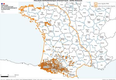 Cartographie de la zone réglementée au titre de la MHE à la date du 29 août.