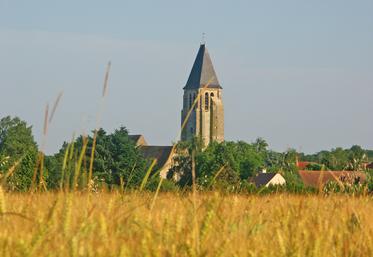 Sonchamp, commune des Yvelines, accueille cette année le Festival de la terre.