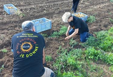 Les 10es Journées nationales du don agricole (JNDA) se tiennent ce mois-ci.