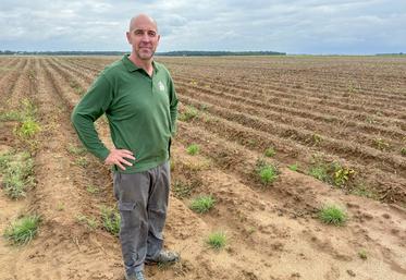 Grégoire Jaquemet, producteur de pommes de terre à Arnouville.