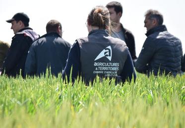 La Chambre d’agriculture de Loir-et-Cher accompagne les agriculteurs et leur donne des conseils pour la campagne à venir. 