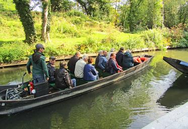 Visite des hortillonnages en barque à cornets