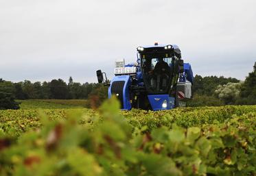 Les vendanges ont commencé mi-septembre au sein des vignes du domaine Biet et Hugo Biet, jeune vigneron installé, revient sur ces vendanges compliquées. 