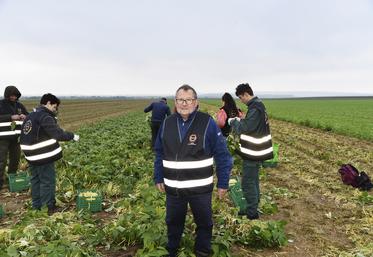 Jeudi 3 octobre, à Gouzangrez (Val-d'Oise). Un glanage solidaire a été organisé sur la parcelle d'Hervé Delacour.