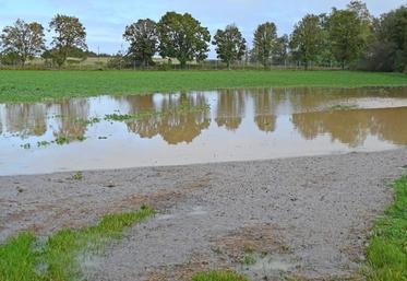 À Saint-Lubin-en-Vergonnois, une parcelle agricole était noyée par les eaux, vendredi 18 octobre dernier, après des pluies incessantes et continues la veille. 