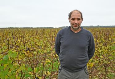 Christophe Morand est vigneron et pépiniériste viticole à Vineuil. Il revient sur les conditions climatiques délicates de 2024 et sa production de plants de vignes.