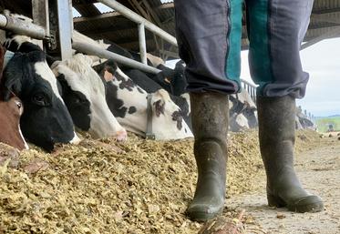 Les éleveurs mettent en place des solutions pour être bien dans leurs bottes.