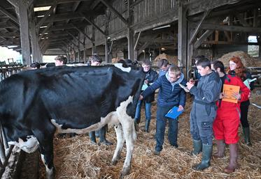 Mardi 19 novembre, à Areines. 128 jeunes des établissements scolaires agricoles du département ont participé au concours de jugement de bétail.