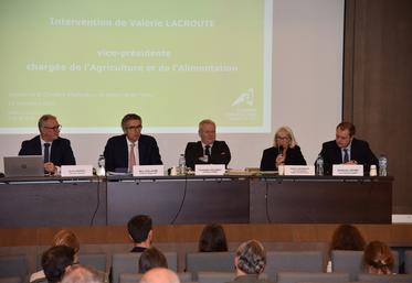 Mardi 26 novembre, à Paris. Autour de Christophe Hillairet, président de la chambre d'Agriculture de région Île-de-France, Olivier Barnay, directeur général, Marc Guillaume, préfet de région, Valérie Lacroute, vice-présidente du conseil régional, et Guillaume Lefort, vice-président de la Chambre, ont évoqué la situation des agriculteurs franciliens.