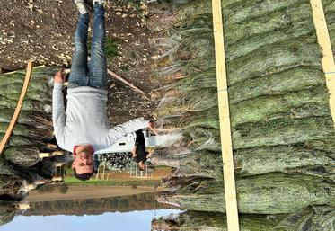 L’entreprise Noël Success produit 50 références de résineux et compte aujourd’hui quelque 350 000 arbres et sapins sur 70 hectares de pépinières dans les terres acides du Pays d’Othe.