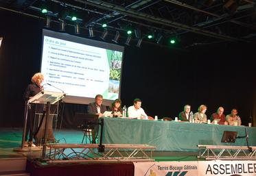 Nemours, mardi 26 novembre. La présidente de Terres bocage gâtinais, Corinne Bonnet, a ouvert l'assemblée générale.