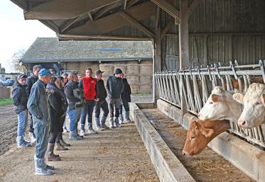 Mardi 3 décembre, à Villedieu-le-Château. Des éleveurs bovins se sont réunis pour assister à la Matinée allaitante organisée par la chambre d'Agriculture.