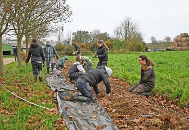 Du 9 au 13 décembre, à Areines. Les élèves du Legta de Vendôme de l'Agrocampus des Deux vallées se sont attelés durant la semaine Aux arbres lycéens à la plantation d'une haie.