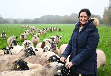 Sophie Roumier élève 160 brebis de race rava à Soings-en-Sologne. Installée depuis 2014 avec son mari, elle a développé cet élevage en 2016. 