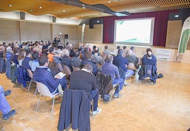 Vendredi 20 décembre, à Janville-en-Beauce (Eure-et-Loir). La réunion du comité technique régional de l'ITB a réuni planteurs et techniciens autour de l'actualité.