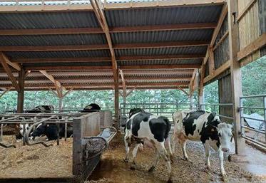 Un couloir suffisamment dimensionné permet la circulation des animaux au niveau de l’abreuvoir.