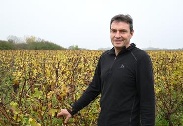 Cyril Desloges est vigneron à Monthou-sur-Cher depuis 1997. Il est à la tête de 25 hectares de vignes, dont 70 % de cépage sauvignon. 