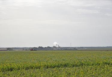 La fermeture de la sucrerie Ouvré à Souppes-sur-Loing a été officiellement annoncée.