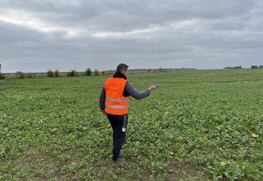 Chaintreaux, mercredi 13 novembre. Démonstration dans une parcelle de colza du fonctionnement de l'application Crop-Analyser. 