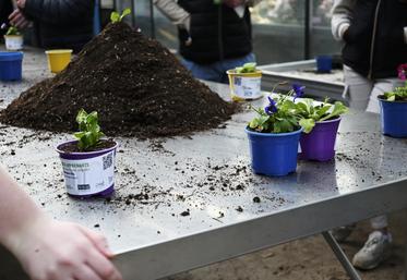 Mardi 3 décembre, à Blois. 240 apprenants ont découvert la filière légumes à travers des activités comme du rempotage.