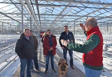 Chailly-en-Bière (Seine-et-Marne), lundi 13 janvier. « Les plantations de fraises sont compartimentées dans l’optique d’assurer une continuité de la production d’avril à octobre, la saison de la commercialisation », explique Benjamin Simonot-De Vos.