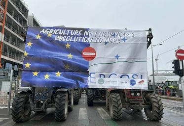 Mercredi 22 janvier, à Strasbourg. La FNSEA et JA ont organisé une mobilisation pour maintenir la pression contre le Mercosur près du Parlement européen.