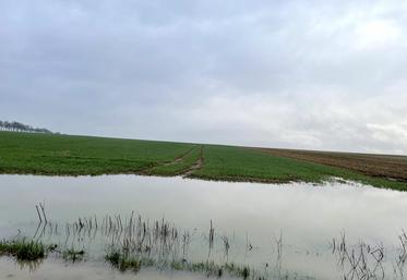 Parcelles inondées, cultures les pieds dans l'eau : les intempéries n'ont pas épargné les exploitants en ce début d'année.