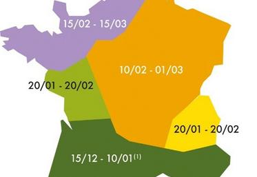 Les dates de semis optimales du pois de printemps.