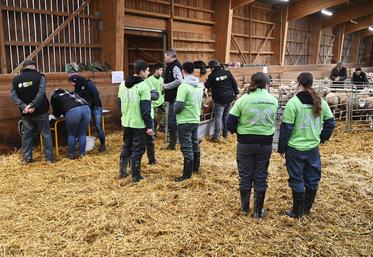 Mercredi 29 janvier, à Amilly. Quarante-quatre lycéens et étudiants ont participé à la finale des Ovinpiades des jeunes bergers de Centre-Val de Loire.