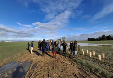Sous un soleil radieux, les participants ont découvert les différentes essences de la plantation, qui n’a pas encore été paillée.