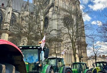 Un dispositif d'urgence pour les éleveurs a été mis en place par la Région. Négocié par Jeunes agriculteurs qui se félicite de ce nouvel acquis syndical. 