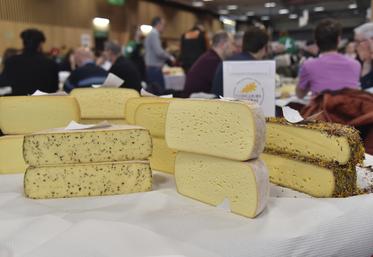 Paris, porte de Versailles, lundi 24 février. Un plateau de fromages géant à juger. 