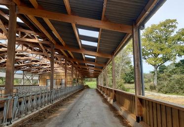 Disposer de larges ouvertures reste la meilleure solution pour gérer l'ambiance des bâtiments. 