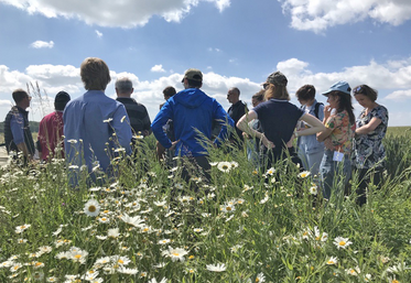 La série de formations mise en place par la Chambre permet de renforcer ses compétences en matière de biodiversité. 