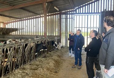 Jeudi 6 mars, à Villerable. Lors d'une matinée génisses laitières, Mathieu Haudebert a fait visiter son élevage et évoqué ses résultats techniques avec la vingtaine de participants. 