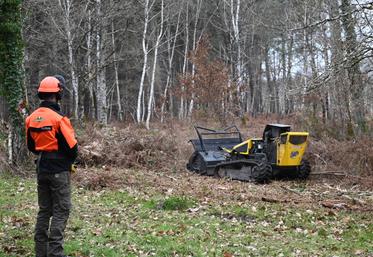 Les obligations légales de débroussaillements (OLD) ont été présentées par Xavier Pelletier, préfet de Loir-et-Cher, lors d'un chantier test le mercredi 19 février dernier sur une parcelle forestière du massif du Gros Bois. 