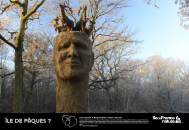 L'exposition se compose de plusieurs panneaux qui invitent à la rêverie et à l’imaginaire en associant chacun des clichés à un paysage d’ailleurs.