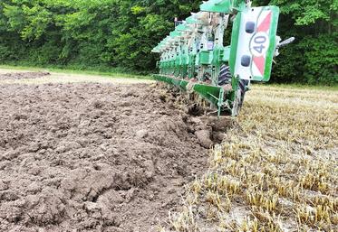 « Labourer est un vrai savoir-faire. Il faut pratiquer pour arriver à régler correctement l’outil. Le labour doit être régulier sans laisser percevoir de nuances dans les reliefs de surface », indique Frédéric Berhaut. 