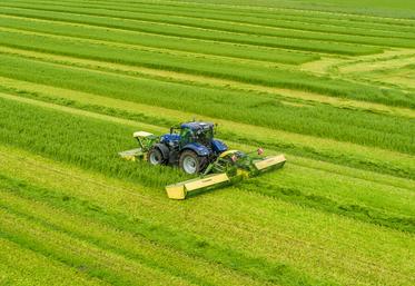 Dotée uniquement d’un groupeur à vis sans fin, la faucheuse Krone ECB 950 Collect, d’une largeur de travail de 9,45 m, se contente d’un tracteur à moteur quatre cylindres de 180 chevaux.
