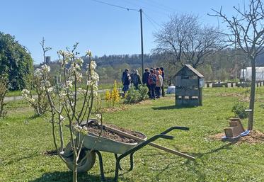 Mardi 1er avril, à Montoire-sur-le-Loir. Des collégiens de divers établissements de Loir-et-Cher ont participé à plusieurs ateliers et des arbustes symboliques ont été plantés.