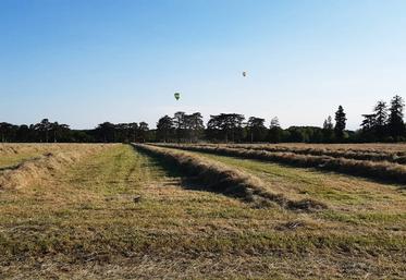 Selon la météo et le matériel de pressage, l’andain sera réalisé plus ou moins haut et plus ou moins large pour favoriser le séchage de l’herbe fraîchement coupée.