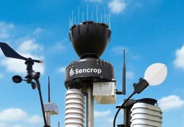 Pour les prévisions météo, la solution Sencrop fait partie des plus connues.