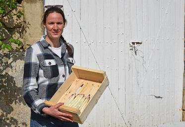 Flavie Delattre cultive des asperges sur son exploitation à Férolles. 