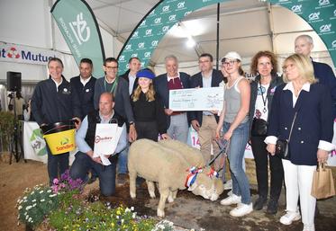 Coulommiers (Seine-et-Marne), samedi 12 avril. La remise des prix aux lauréats du concours d'agneaux et à l'association des Bergers d'Île-de-France s'est déroulée en fin de journée.